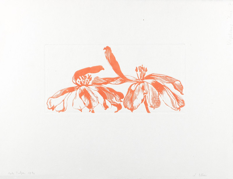 Arbeit von Arthur Illies