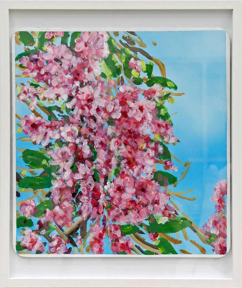 weiteres Bild: 03_Kirschblüten