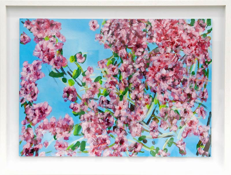 weiteres Bild: 06_Kirschblüten