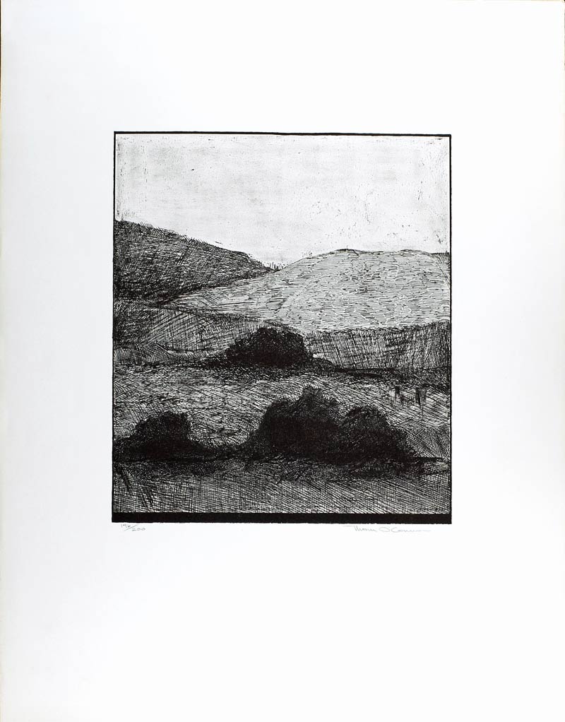 Arbeit von Thom O'Connor