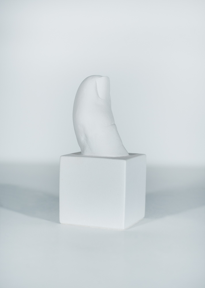 © Gudrun Pamme- Vogelsang, 2019 weiteres Bild: Zehkubus