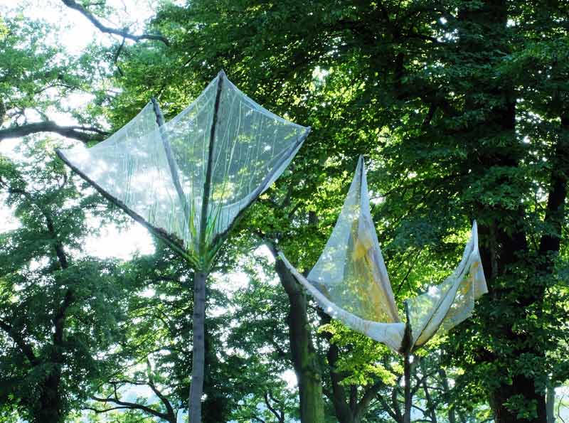 lioba stammheim 24 2