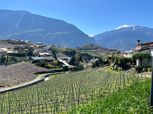 wallis 2